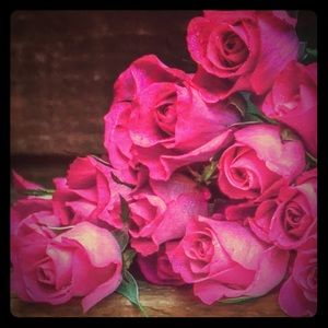 Meet your Posher, Maddie